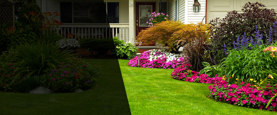 Silverdale Landscapers